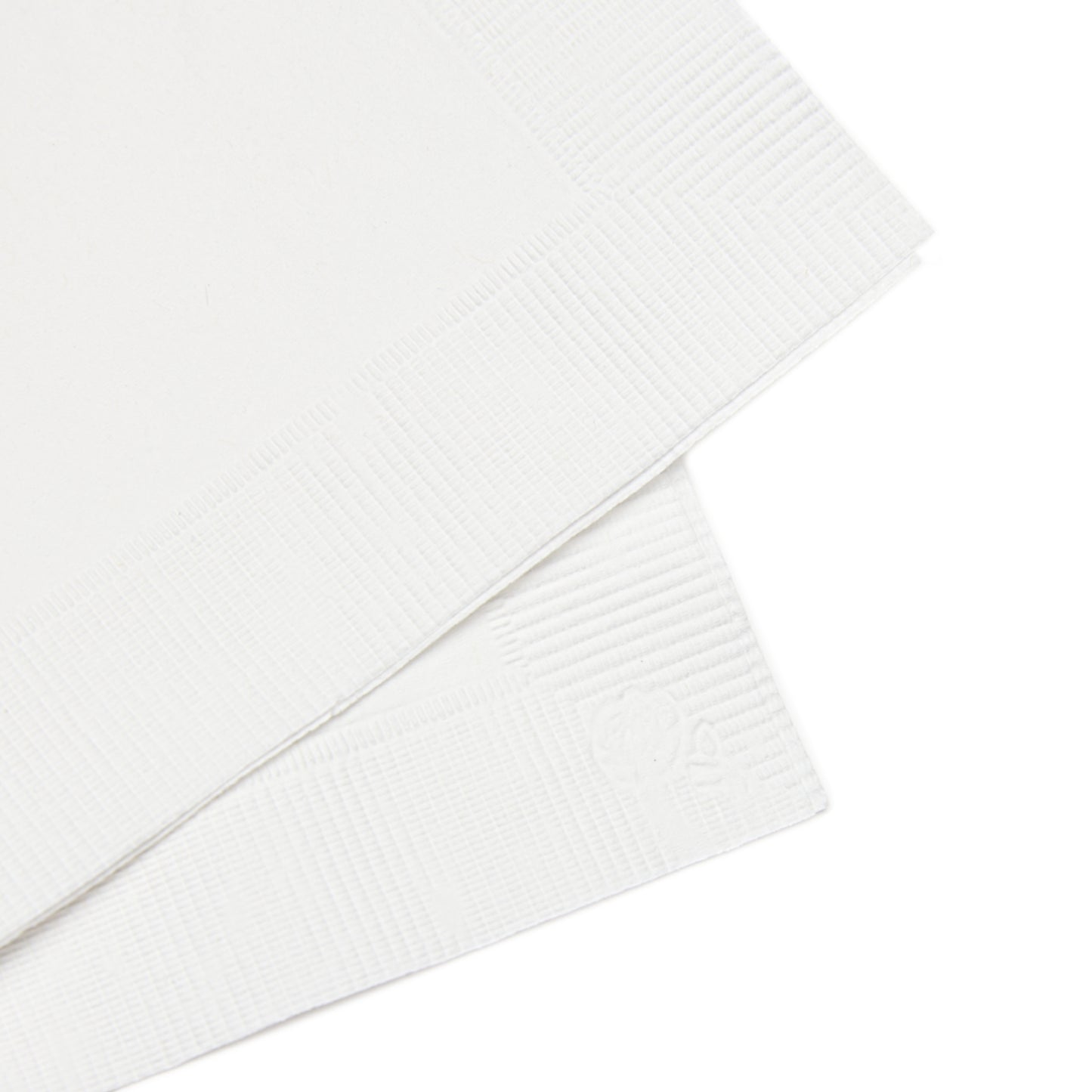 Squam Lake White Coined Napkins