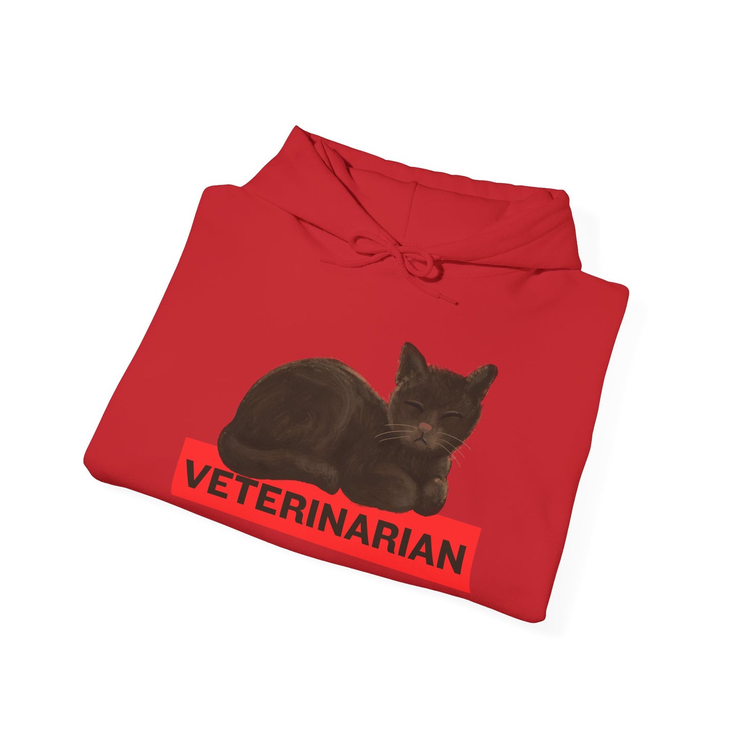 Veterinarian Cat Hoodie for Animal Lovers, Unisex Sweatshirt, Gifts for Vet Students, Pet Owners, Animal Enthusiasts, Cozy Gift Idea