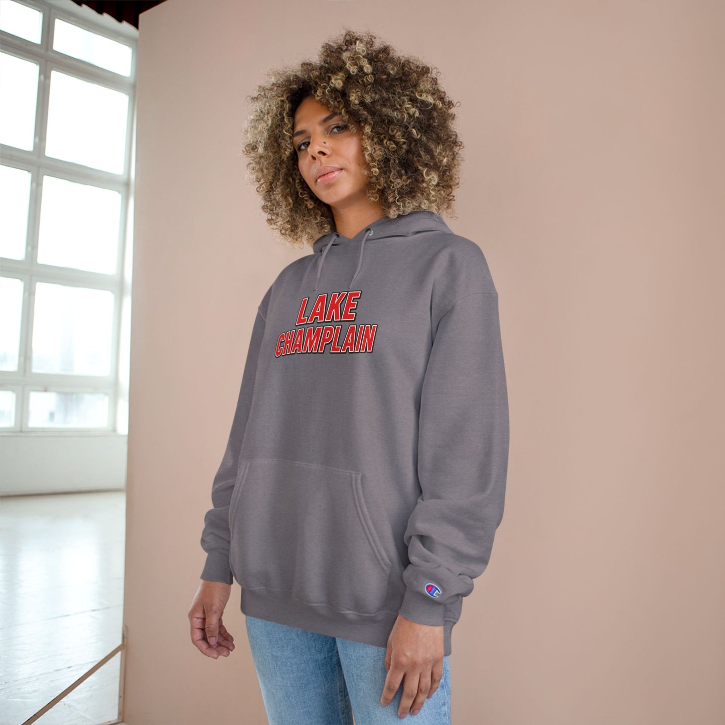 Lake Champlain Cozy Hoodie, Perfect for Outdoor Adventures, Lake Days, Gifts for Nature Lovers, Comfortable Sweatshirt