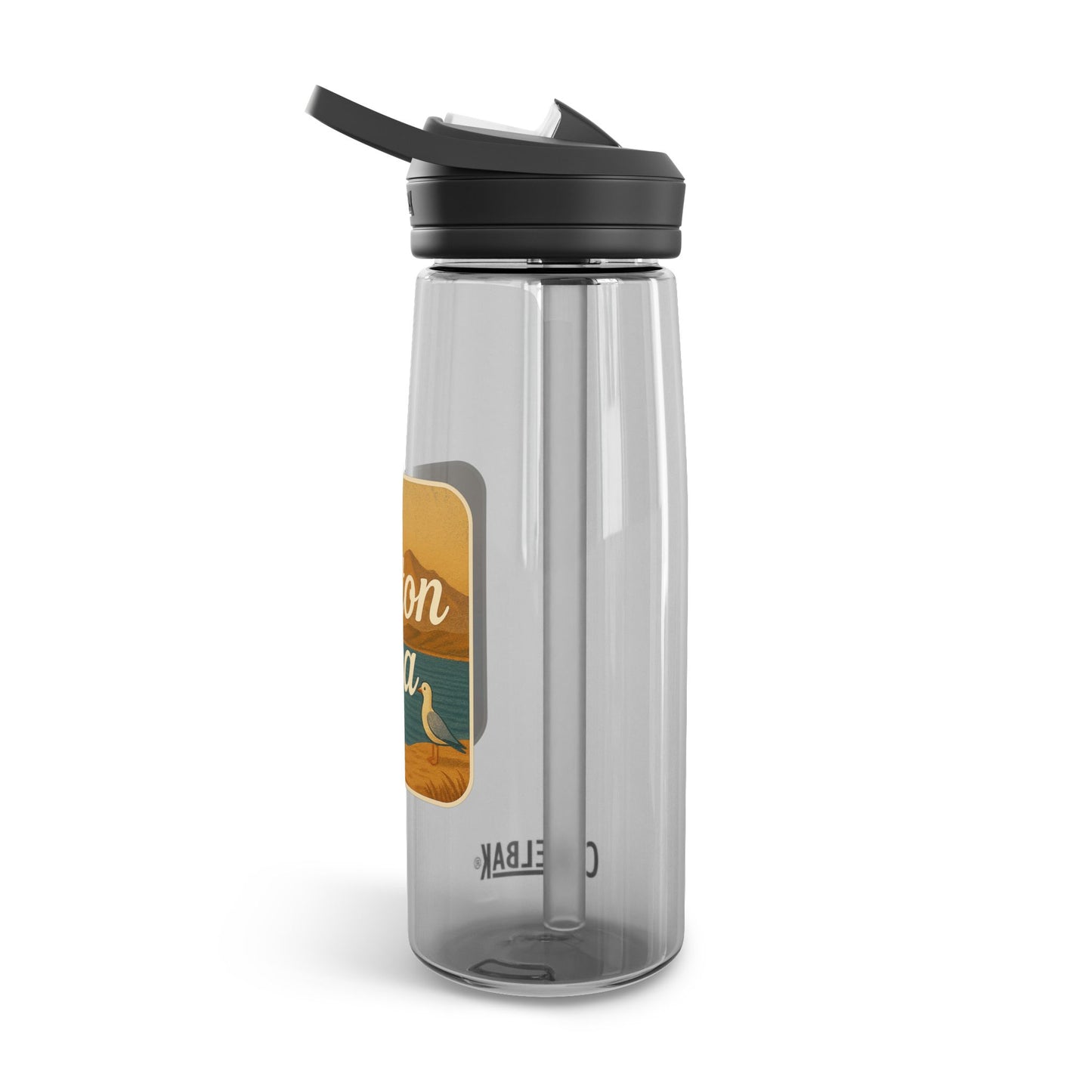 Salton Sea CamelBak Eddy Water Bottle