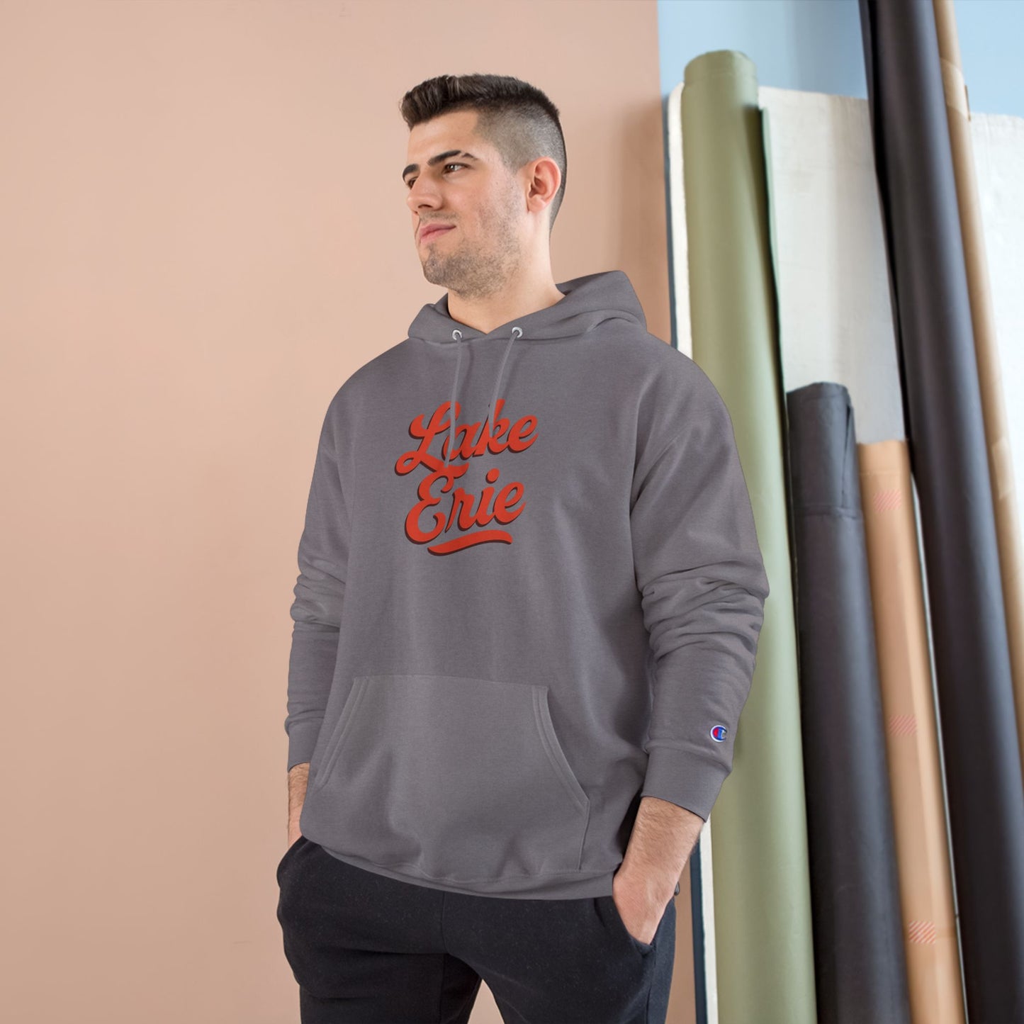 Lake Erie Cozy Hoodie, Perfect for Outdoor Adventures, Lake Days, Gifts for Nature Lovers, Comfortable Sweatshirt