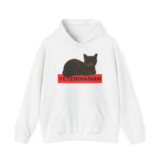 Veterinarian Cat Hoodie for Animal Lovers, Unisex Sweatshirt, Gifts for Vet Students, Pet Owners, Animal Enthusiasts, Cozy Gift Idea