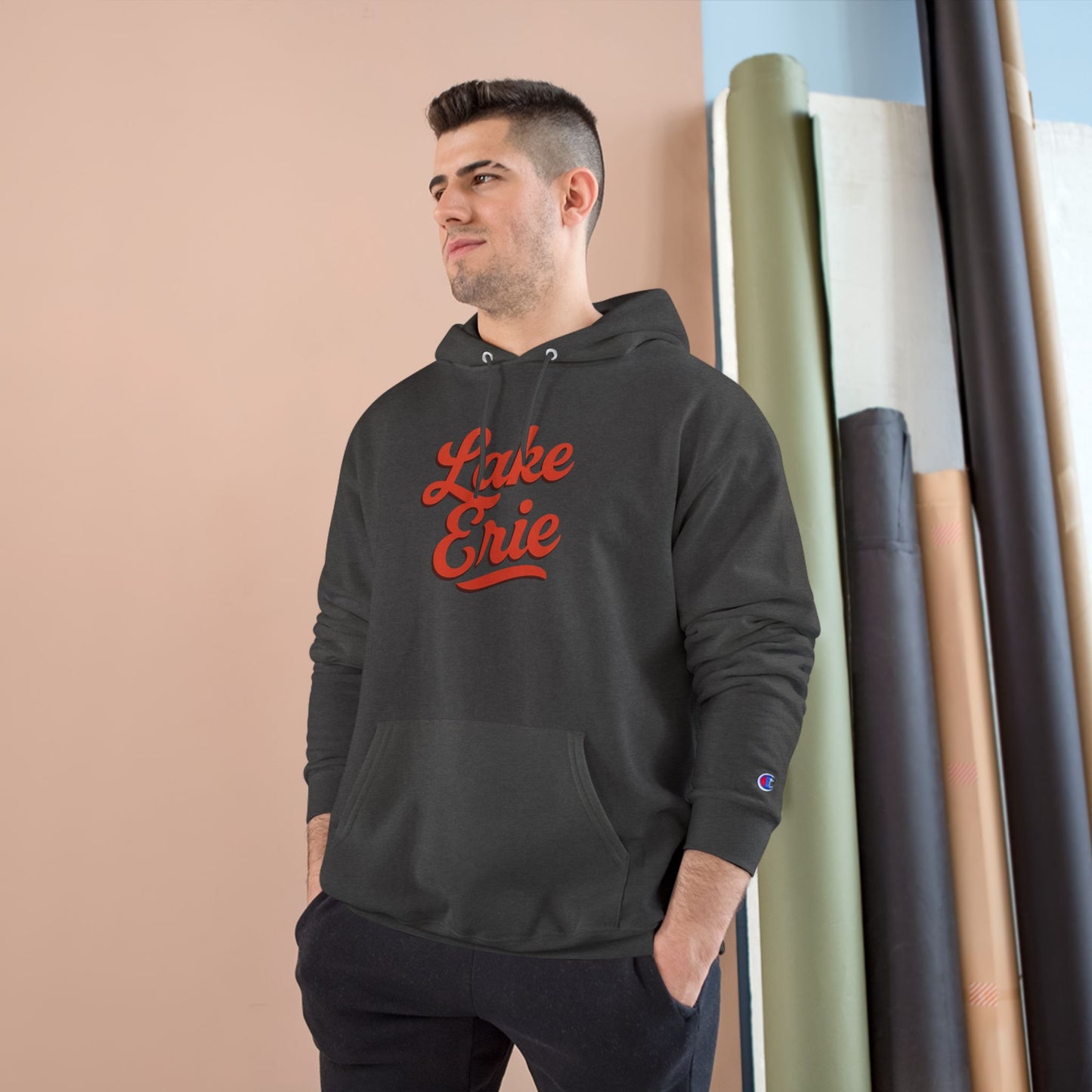 Lake Erie Cozy Hoodie, Perfect for Outdoor Adventures, Lake Days, Gifts for Nature Lovers, Comfortable Sweatshirt
