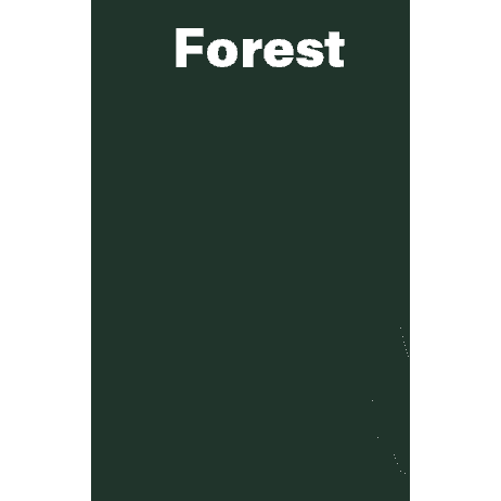 Jeeper Front Rhinestone Tee Short or Long Sleeve