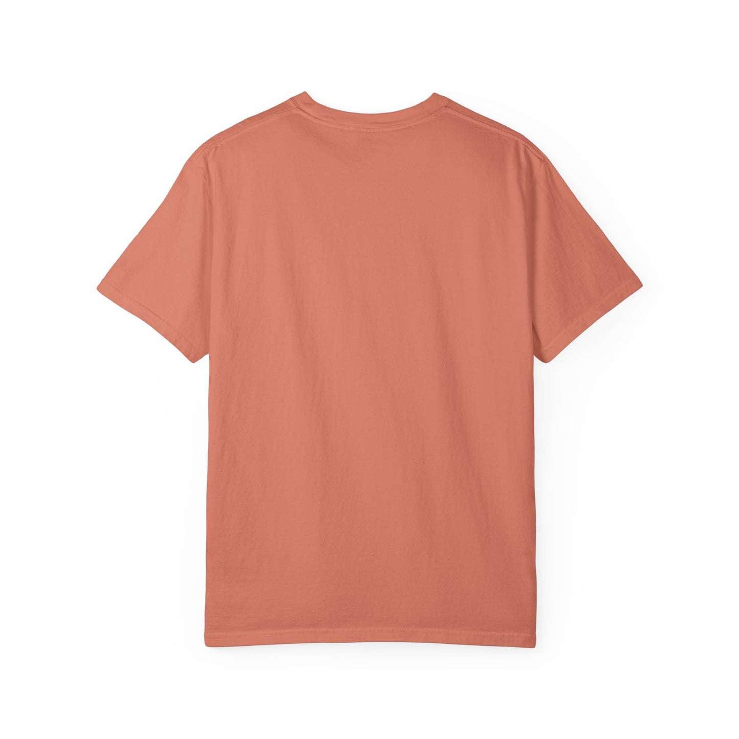 Salton Sea Unisex Garment-Dyed T-shirt