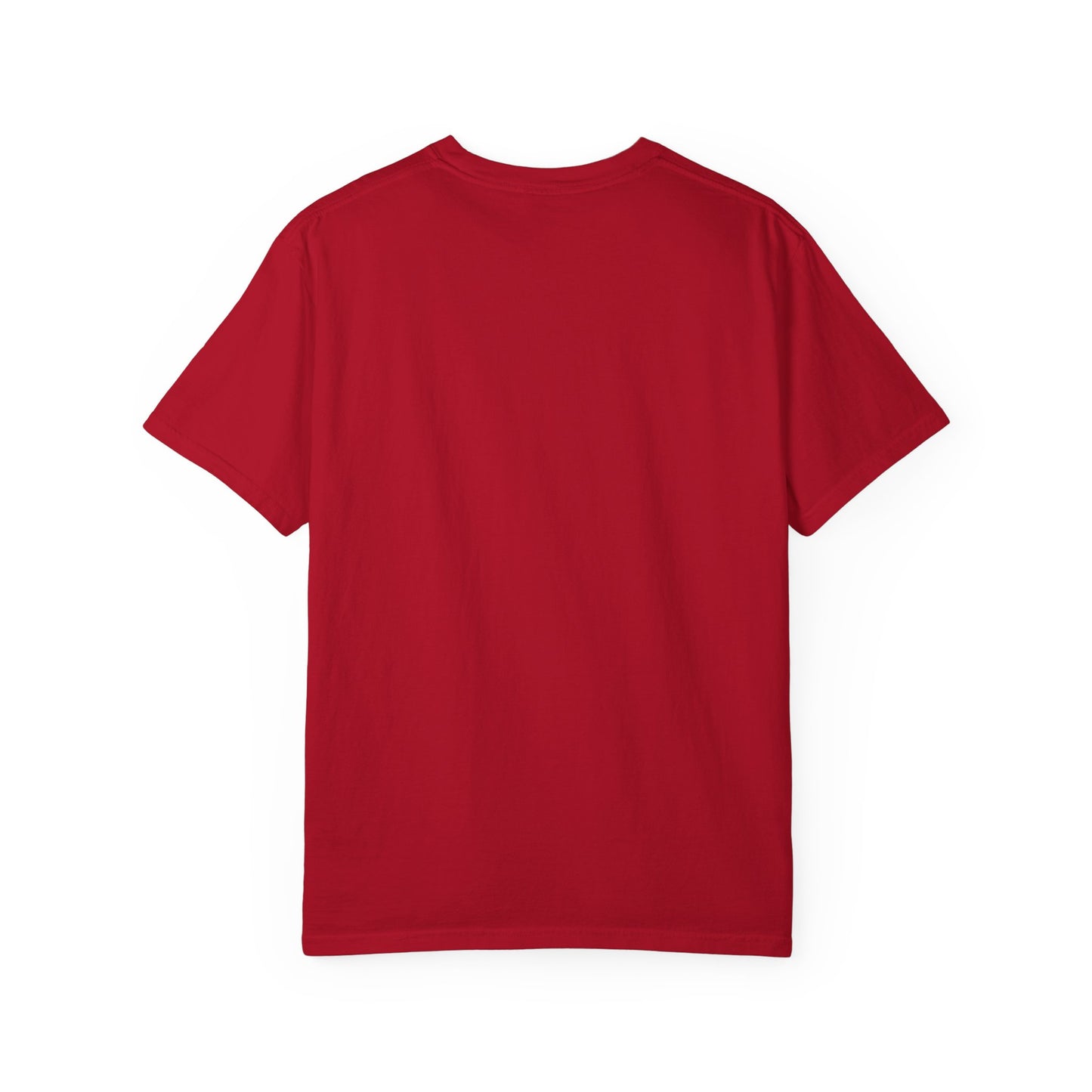 Salton Sea Unisex Garment-Dyed T-shirt