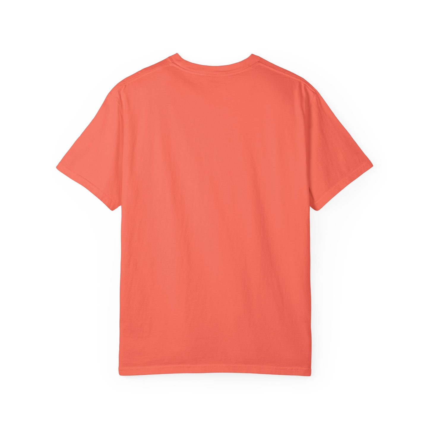 Salton Sea Unisex Garment-Dyed T-shirt