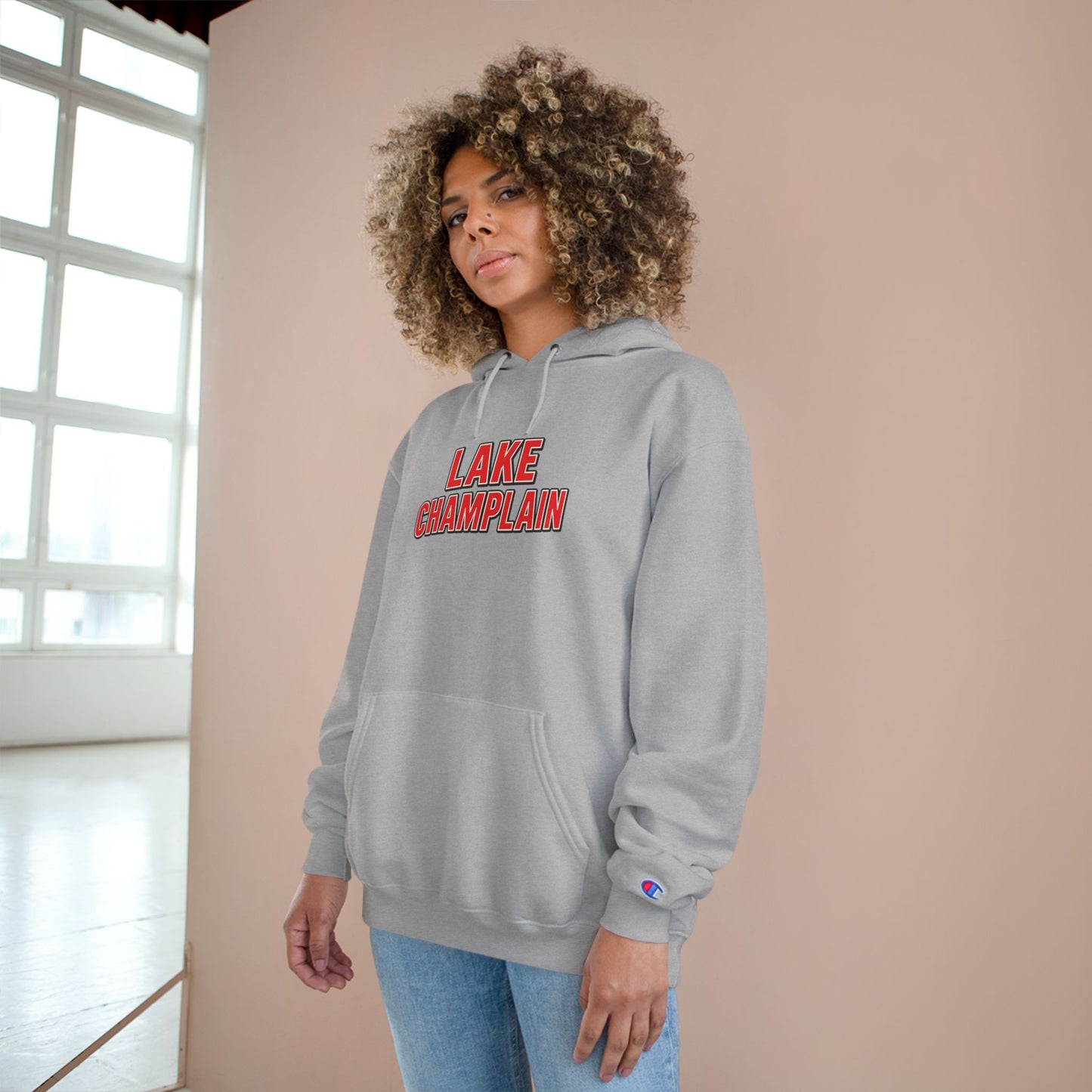 Lake Champlain Cozy Hoodie, Perfect for Outdoor Adventures, Lake Days, Gifts for Nature Lovers, Comfortable Sweatshirt
