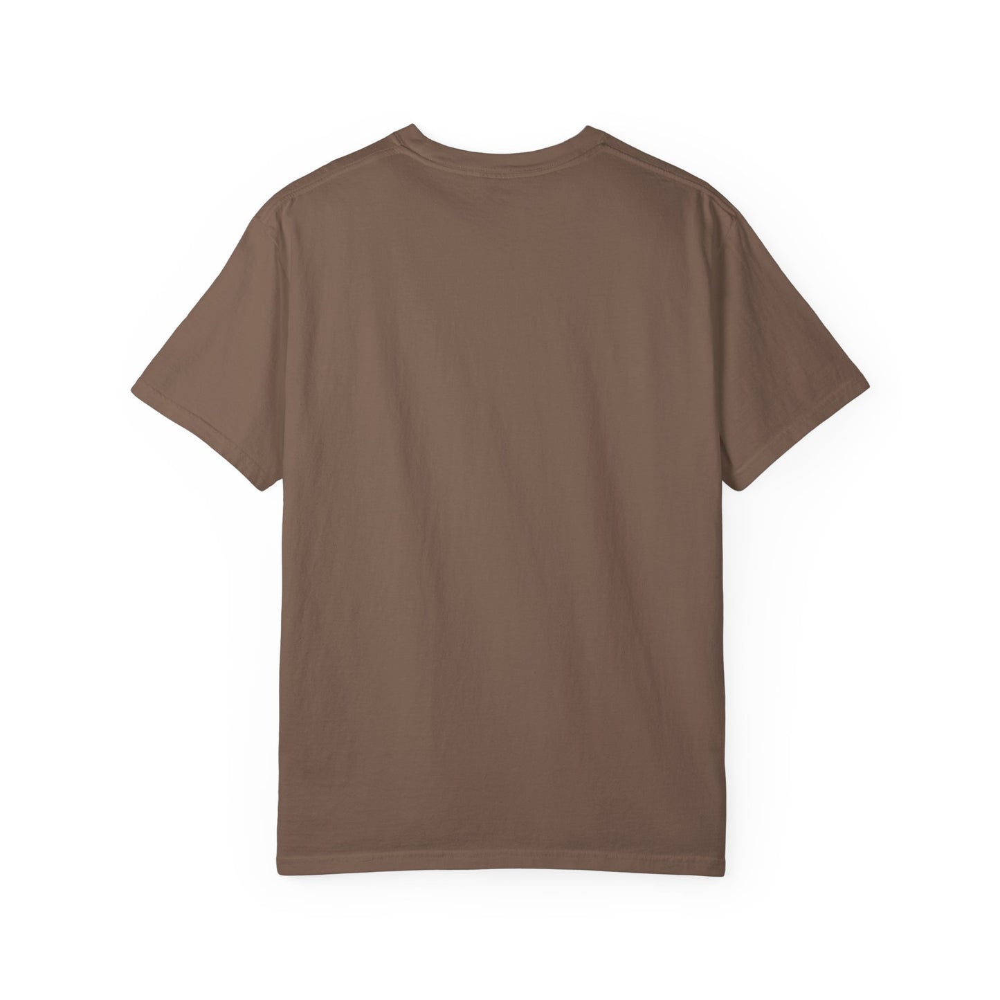 Salton Sea Unisex Garment-Dyed T-shirt