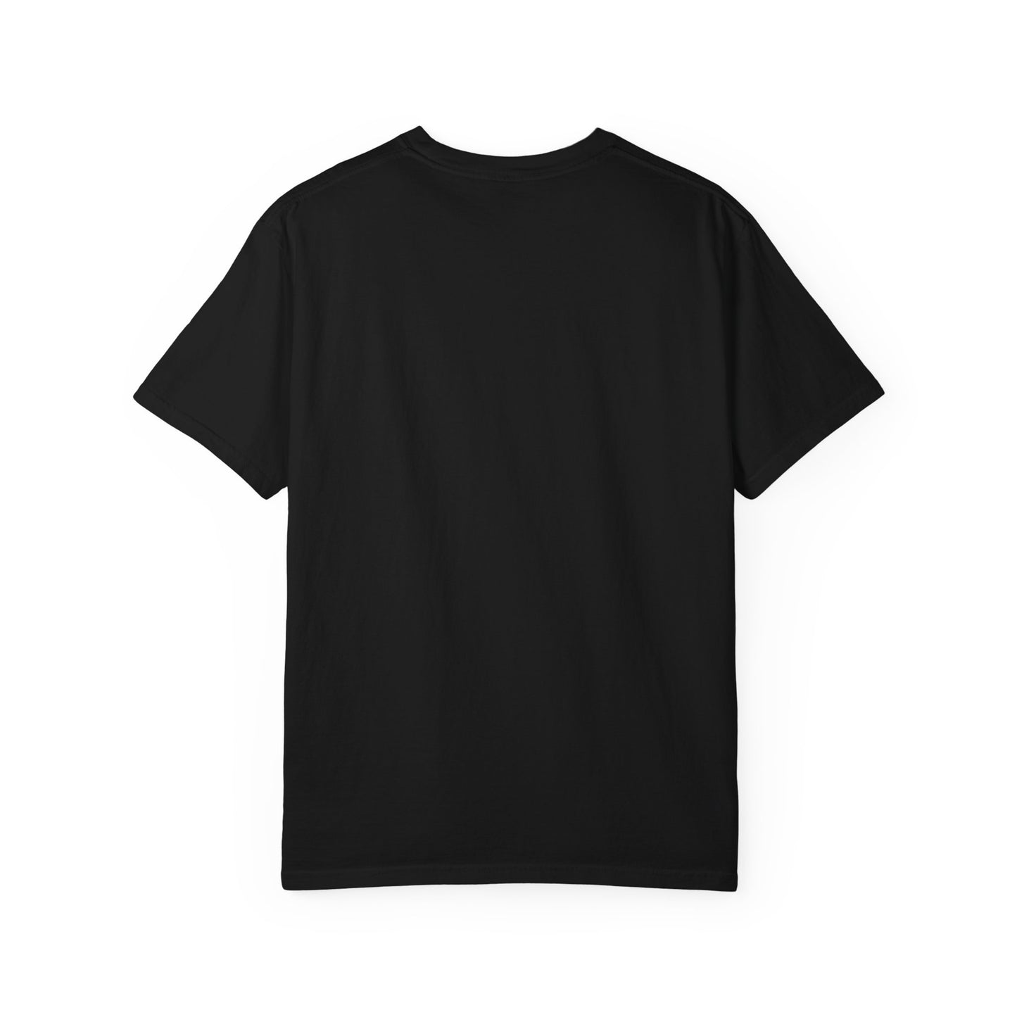 Salton Sea Unisex Garment-Dyed T-shirt