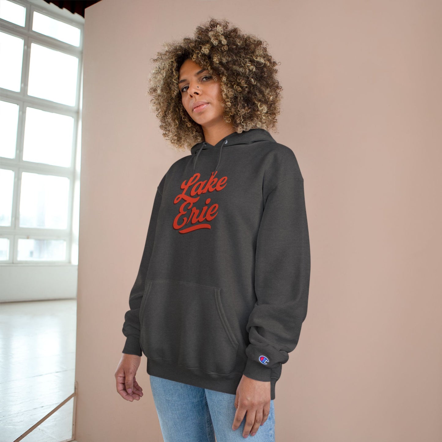 Lake Erie Cozy Hoodie, Perfect for Outdoor Adventures, Lake Days, Gifts for Nature Lovers, Comfortable Sweatshirt