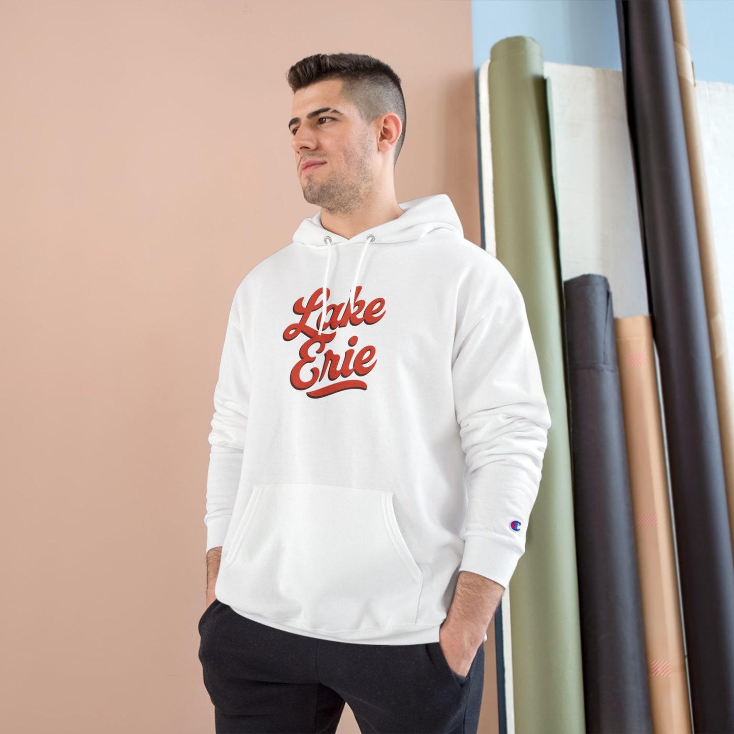 Lake Erie Cozy Hoodie, Perfect for Outdoor Adventures, Lake Days, Gifts for Nature Lovers, Comfortable Sweatshirt