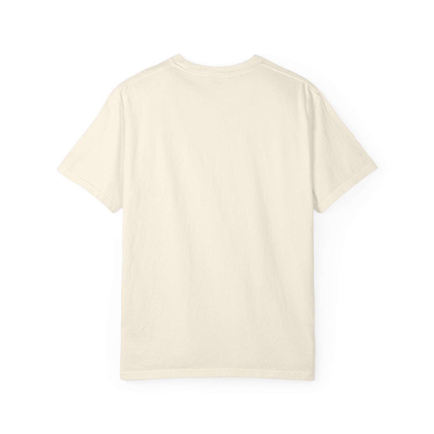 Salton Sea Unisex Garment-Dyed T-shirt