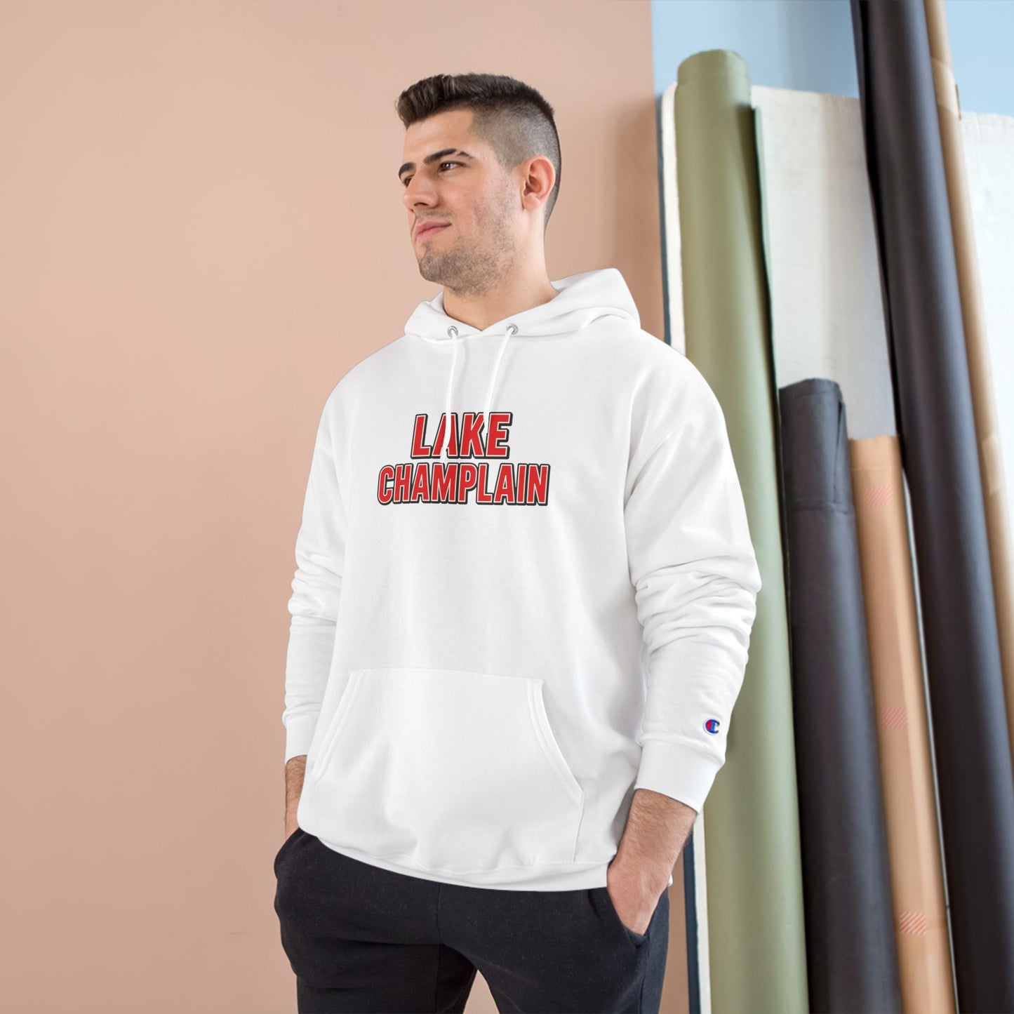 Lake Champlain Cozy Hoodie, Perfect for Outdoor Adventures, Lake Days, Gifts for Nature Lovers, Comfortable Sweatshirt