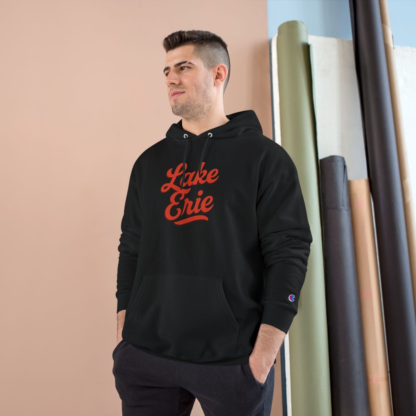 Lake Erie Cozy Hoodie, Perfect for Outdoor Adventures, Lake Days, Gifts for Nature Lovers, Comfortable Sweatshirt