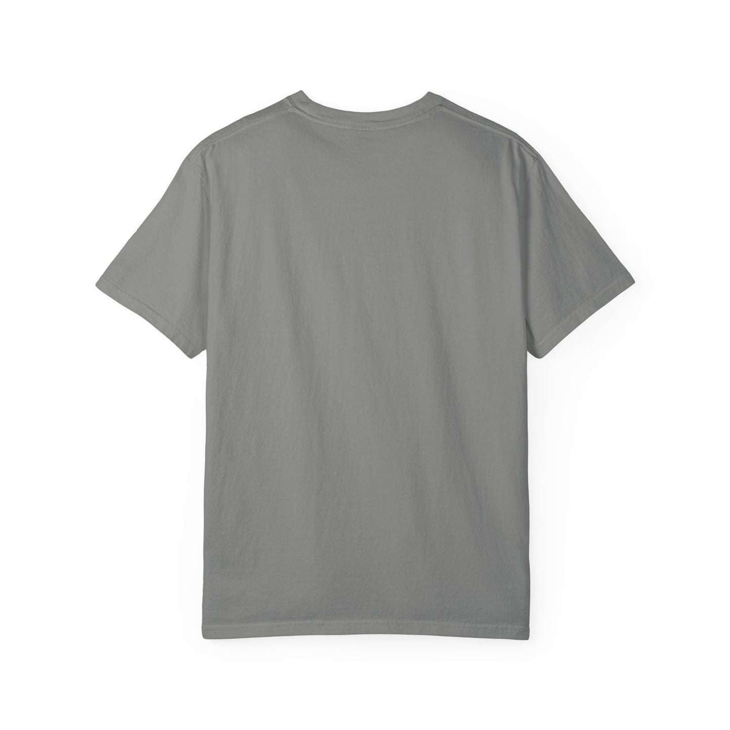 Salton Sea Unisex Garment-Dyed T-shirt