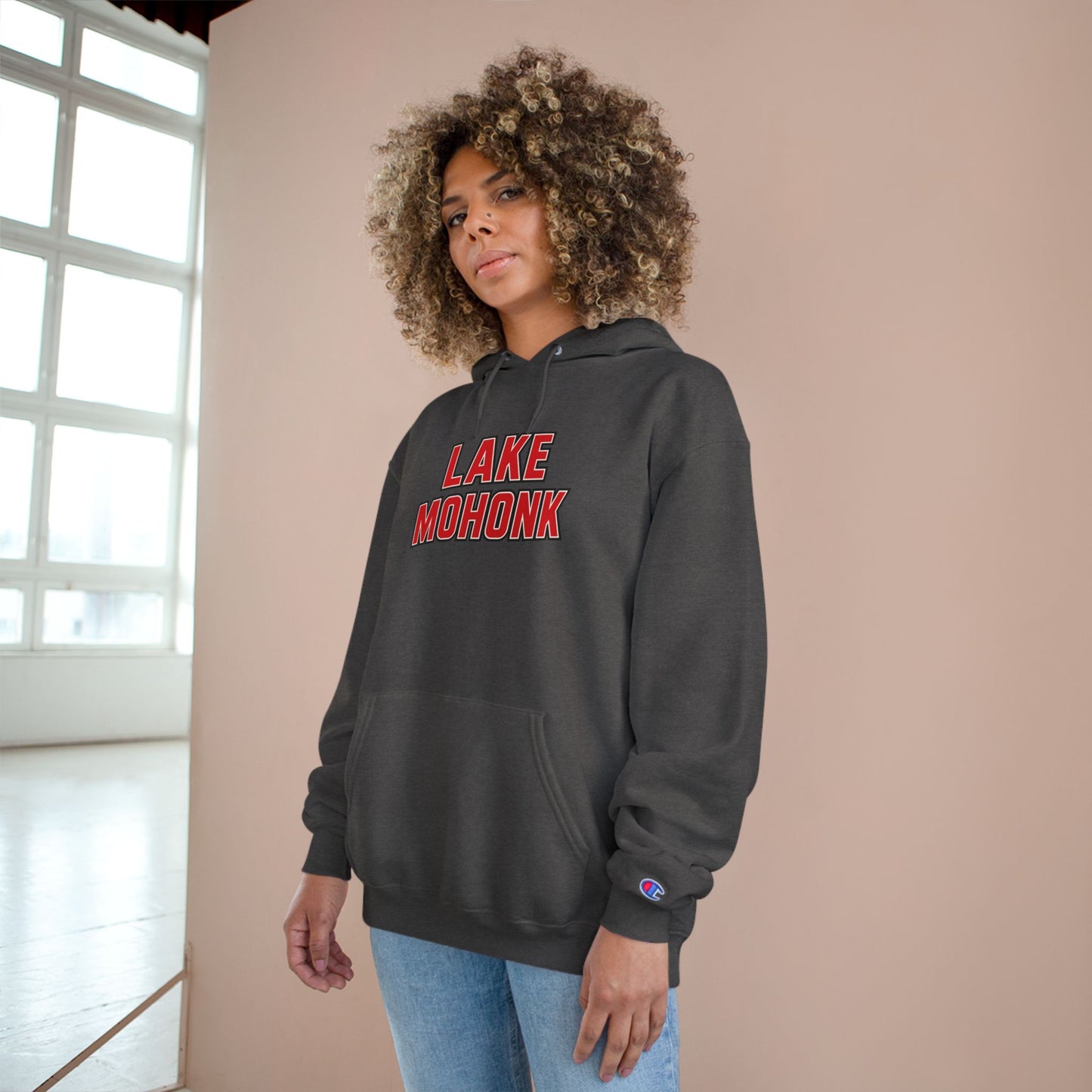Lake Mohonk Cozy Hoodie, Perfect for Outdoor Adventures, Lake Days, Gifts for Nature Lovers, Comfortable Sweatshirt