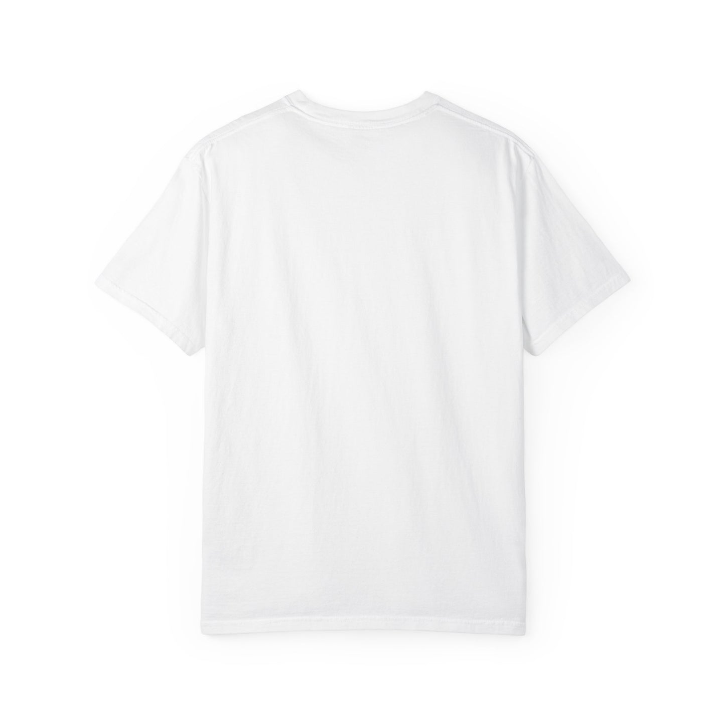 Salton Sea Unisex Garment-Dyed T-shirt