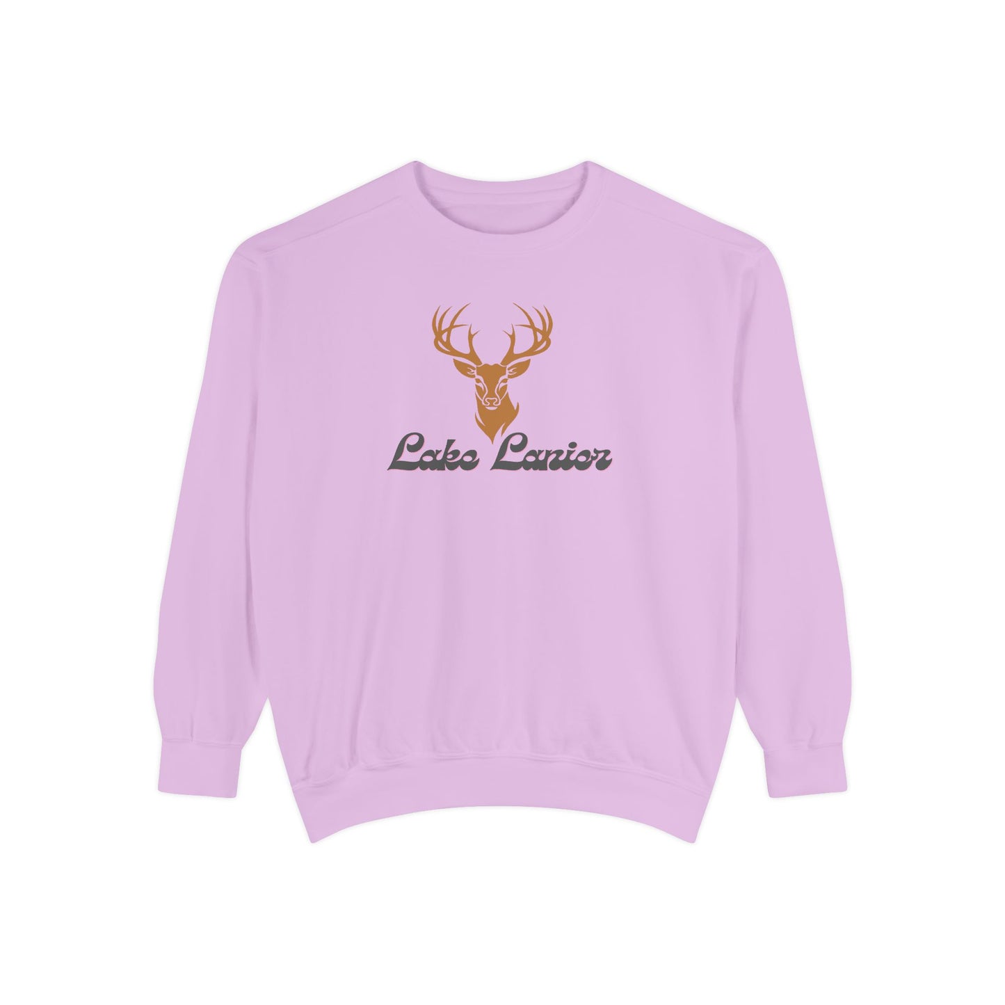 Cozy Lake Lanier Sweatshirt, Comfortable Unisex Sweatshirt for Nature Lovers, Gift for Outdoorsy Friends, Campfire Collection