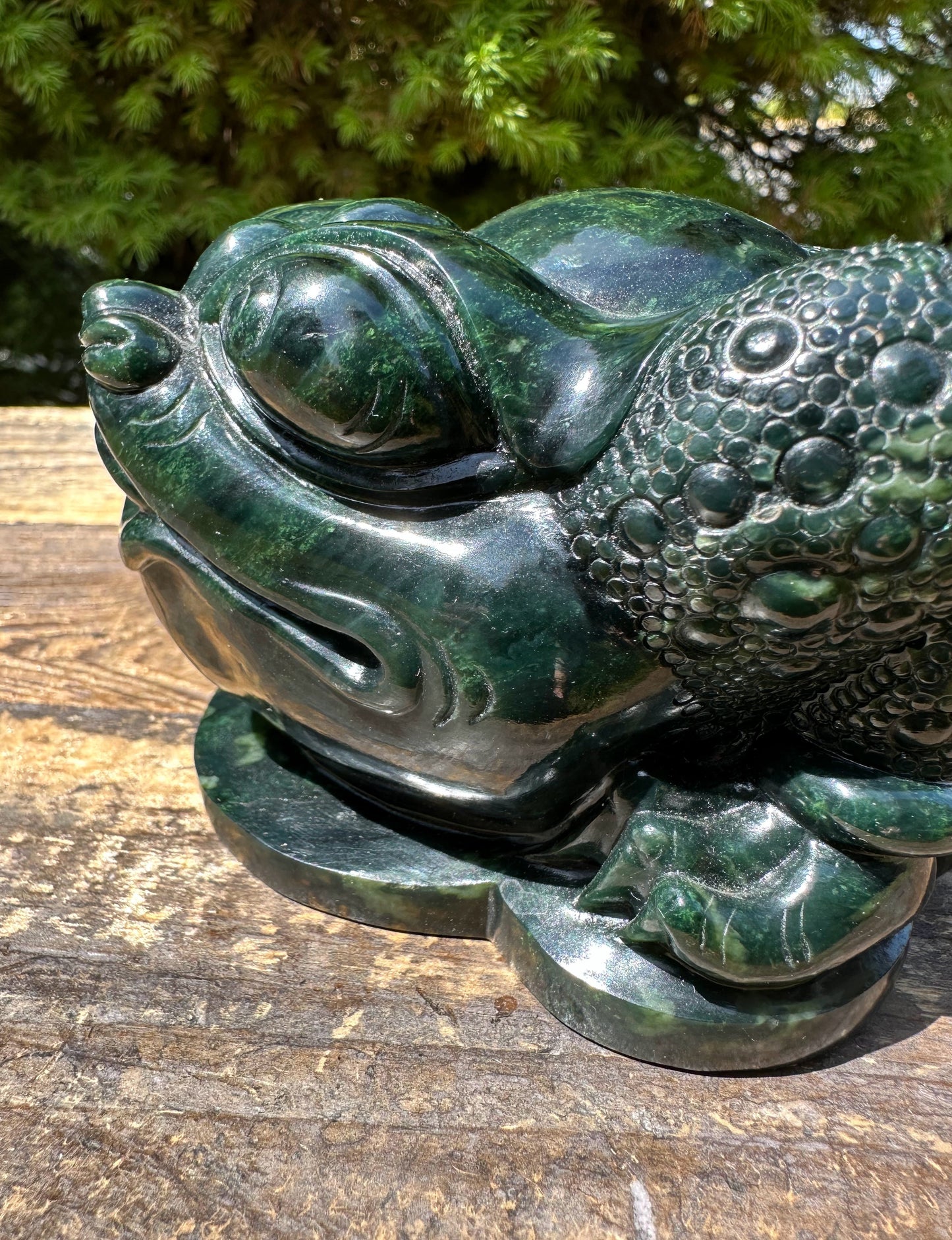 High Quality Dark Green Ogden Jade Toad* 5.25"