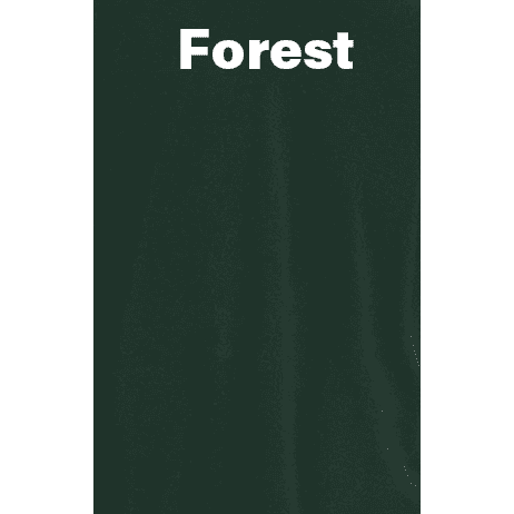 Jeeper Tink Rhinestone Tee Short or Long  Sleeve