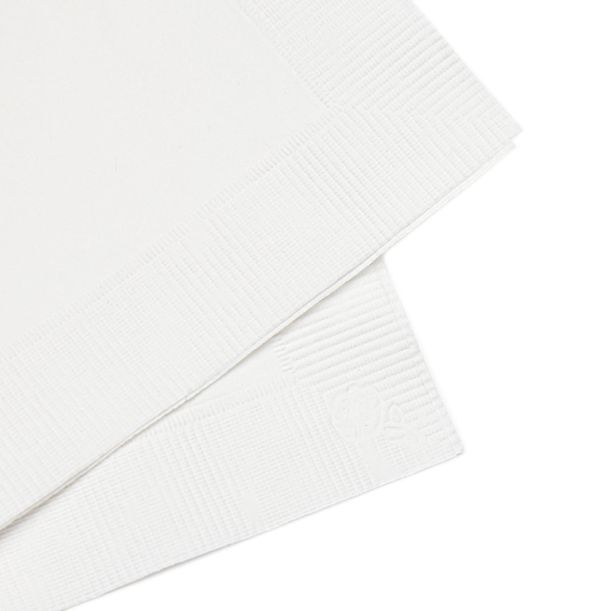 Salton Sea White Coined Napkins